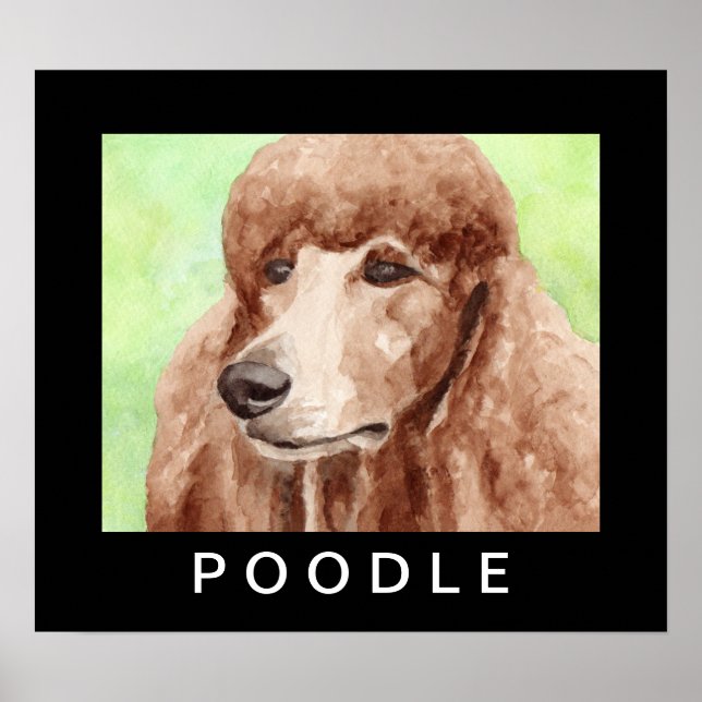 Poster Poodle à l'aquarelle (Devant)