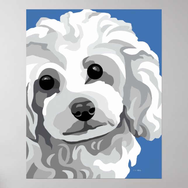 Poster Poodle blanc (Devant)