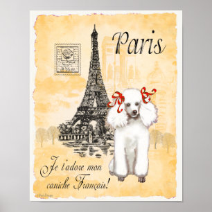 Poster Poodle blanc Paris Tour Eiffel Imprimer Vintage