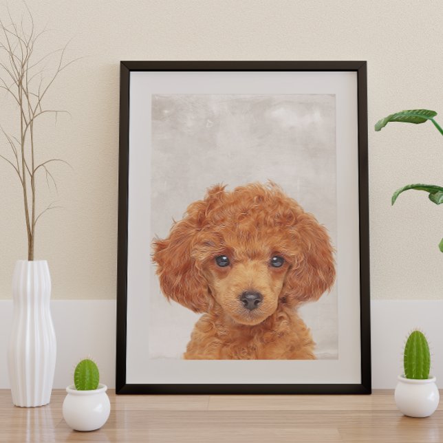 Poster Poodle de jouets (Créateur téléchargé)