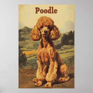 Poster Poodle Dog Vintage Art
