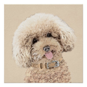 Poster Poodle Miniature Toy Apricot Crème Chien Brown Art