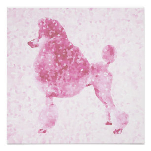 Poster Poodle rose