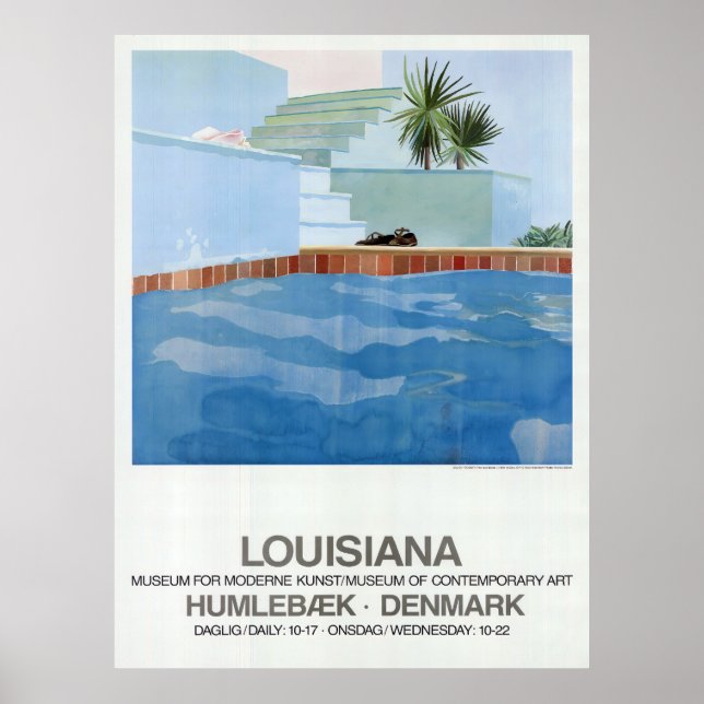Poster Pool And Steps (Devant)