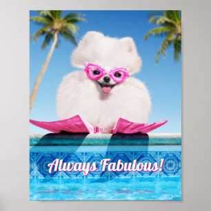 Poster Poolside Dog In Flippers