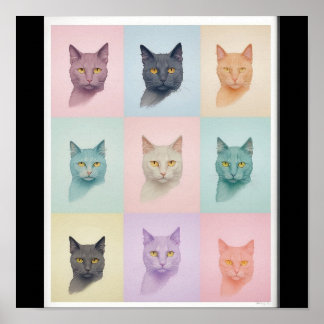 Poster Pop Art cat Photo Moderne tendance Bloc de couleur