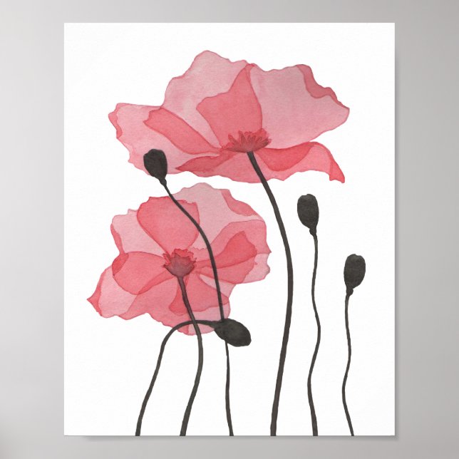 Poster Poppies (Devant)