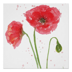 Poster Poppies de printemps