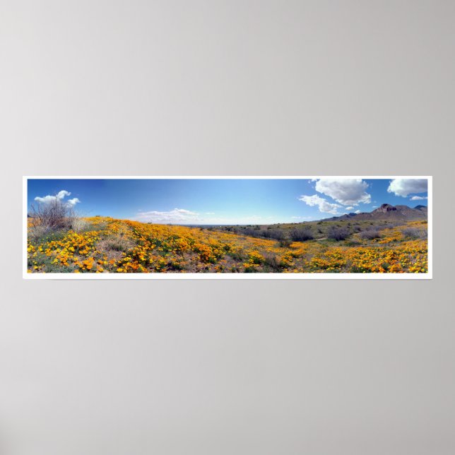 Poster Poppies d'or mexicaines - Franklin Mountains (Devant)