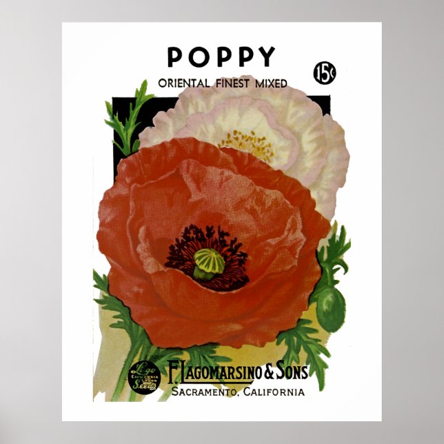 Poster Poppy (Devant)