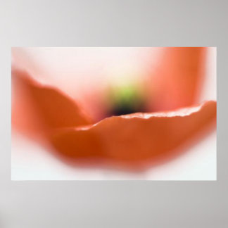Poster Poppy Kiss