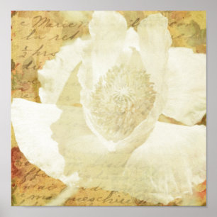 Poster Poppy Marie
