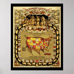 Poster Porcinéographe