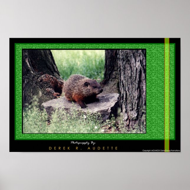 Poster PorcTerrain 1 (Devant)