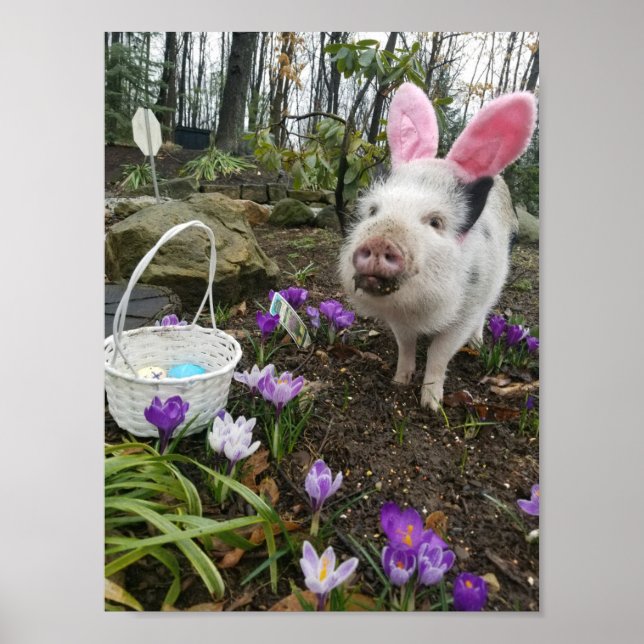Poster "Pork Chop" Le Cochon De Pâques ! (Devant)
