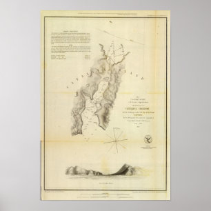 Poster Port de Catalina