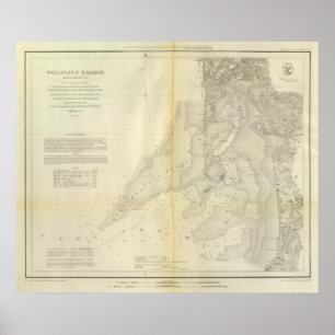 Poster Port de Wellfleet, la masse