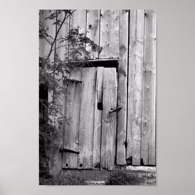 Poster Porte de grange avec arbre (Devant)