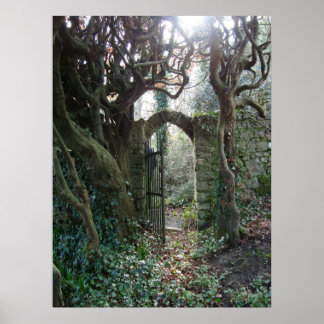 Poster Porte de jardin irlandaise