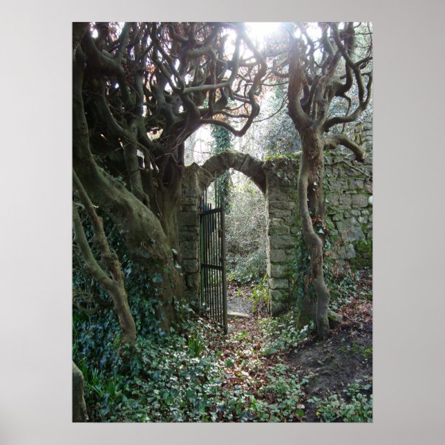 Poster Porte de jardin irlandaise (Devant)