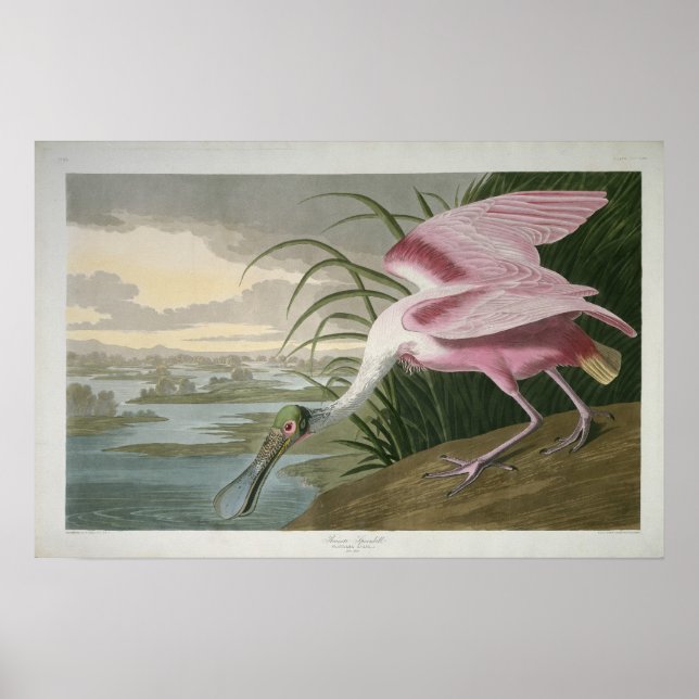 Poster Porte-feuille rose, 1836 Imprimer (Devant)