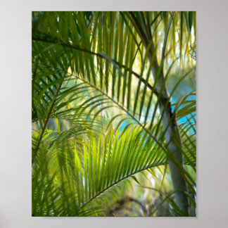 Poster Portée douce