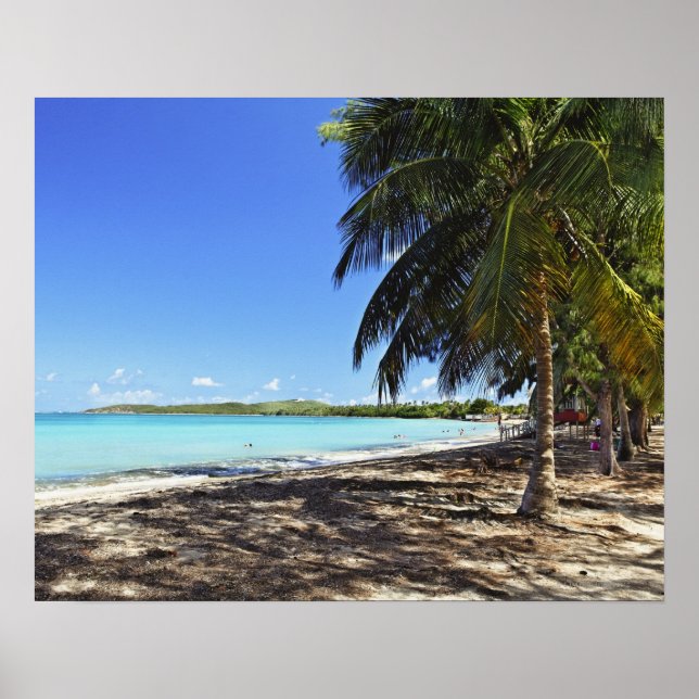 Poster Porto Rico, Fajardo, Culebra Island, Sept Mers (Devant)