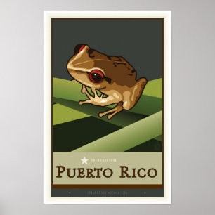 POSTER PORTO RICO II