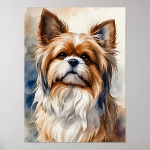Poster Portrait à l'aquarelle Pose Douce Chien Shih Tzu