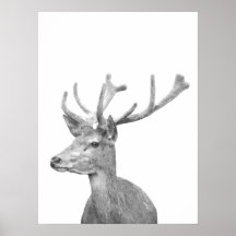 Portrait animal cerf noir et blanc