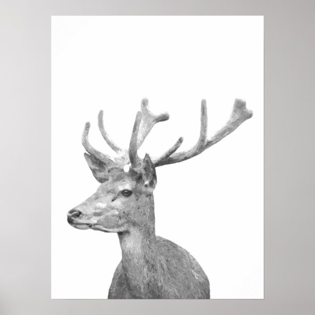 Poster Portrait animal cerf noir et blanc (Devant)