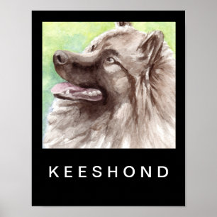 Poster Portrait aquarelle de Keeshond
