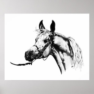 Poster Portrait arabe en stylo et encre