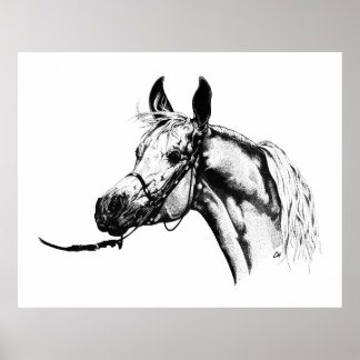 Poster Portrait arabe en stylo et encre