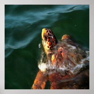 Poster Portrait artistique de la tortue luge