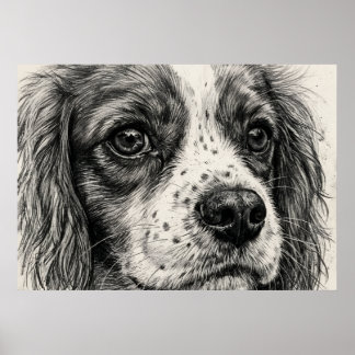Poster Portrait au crayon graphite de Cavalier King Charl