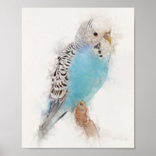 Poster Portrait Budgie bleu
