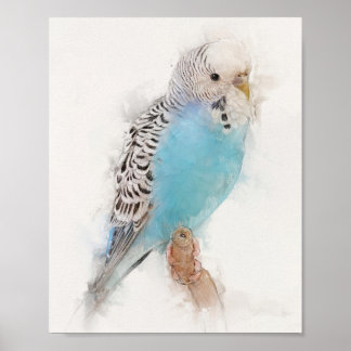 Poster Portrait Budgie bleu