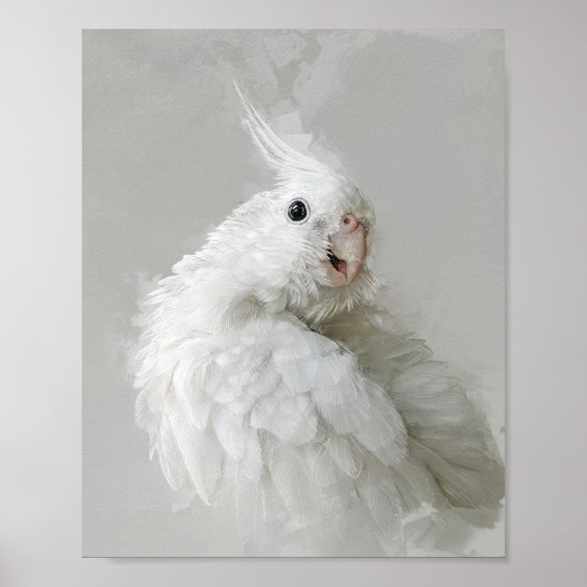 Poster Portrait Cockatiel 012 (Devant)