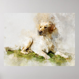 Poster Portrait d'aquarelle de chien de Labrador Retrieve