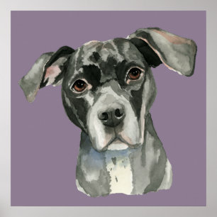 Poster Portrait d'aquarelle de chien mignon noir brun