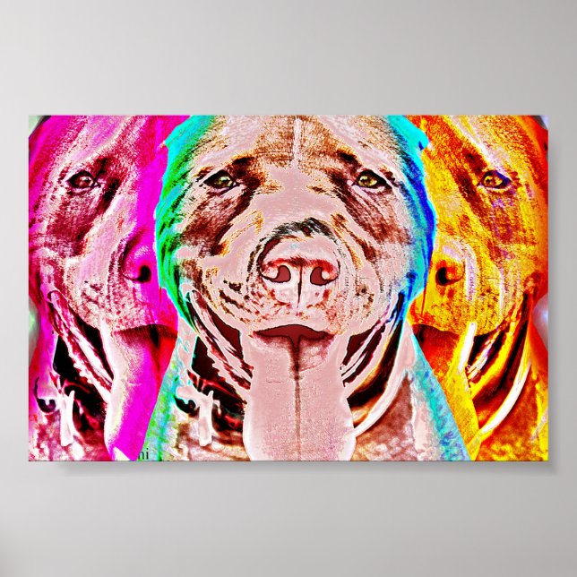 Poster Portrait d'art Pit Bull Pop (Devant)