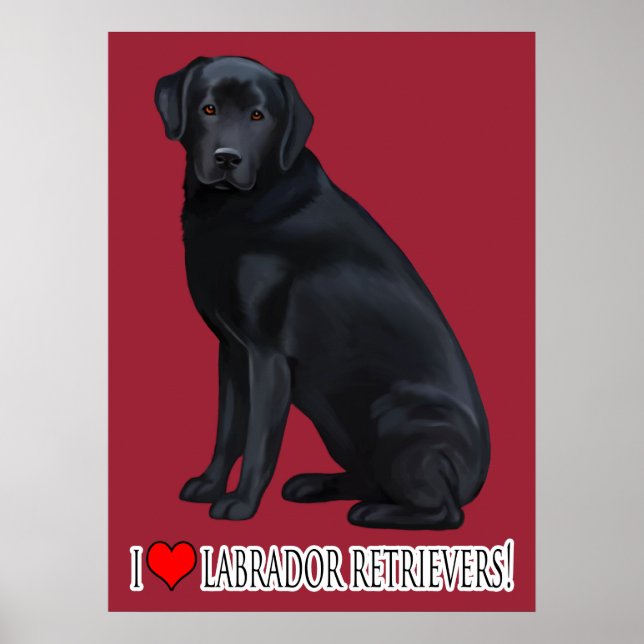 Poster Portrait de Black Labrador Retriever (Devant)