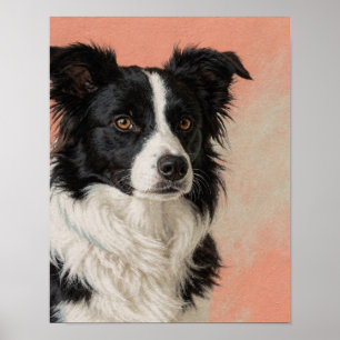 Poster Portrait de Border Collie noir et blanc dans le co