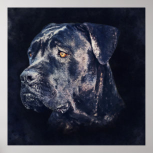Poster Portrait de Cane Corso