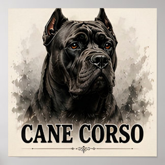 Poster Portrait de Cane Corso, Chien Gardien Puissant