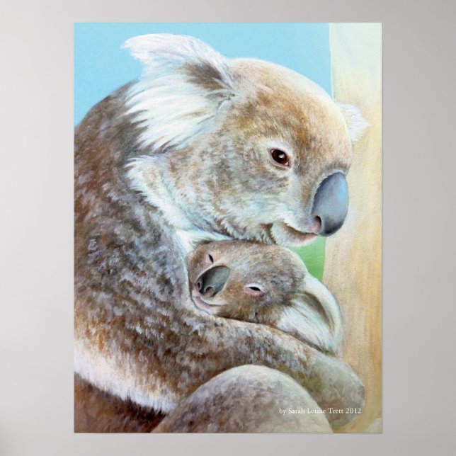 Poster Portrait de capuchon Koala (Devant)