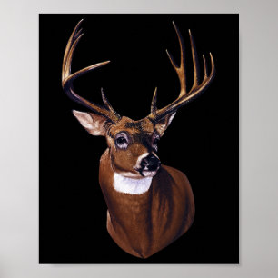 Poster Portrait de cerfs blancs Antlers Animaux sauvages 