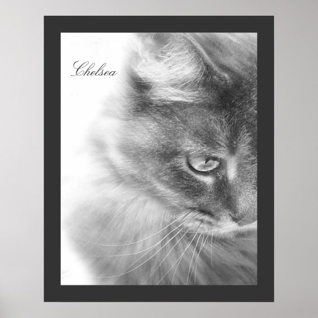 Poster Portrait de chat "Chelsea" (Devant)