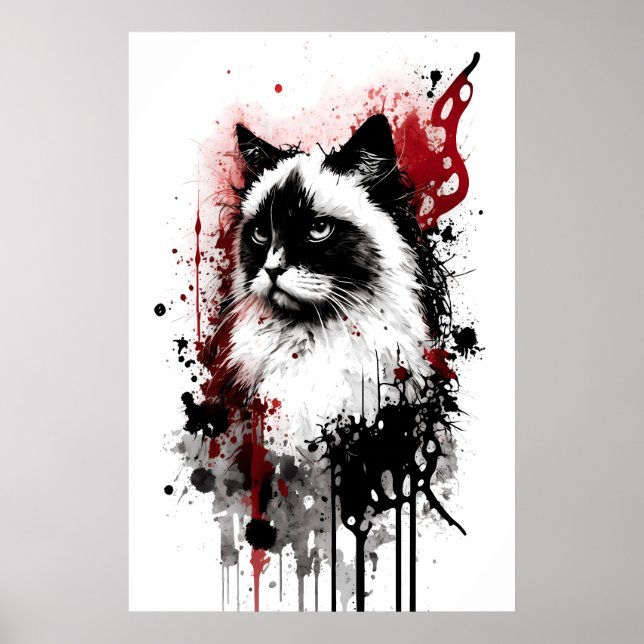 Poster Portrait de chat de Ragdoll (Devant)